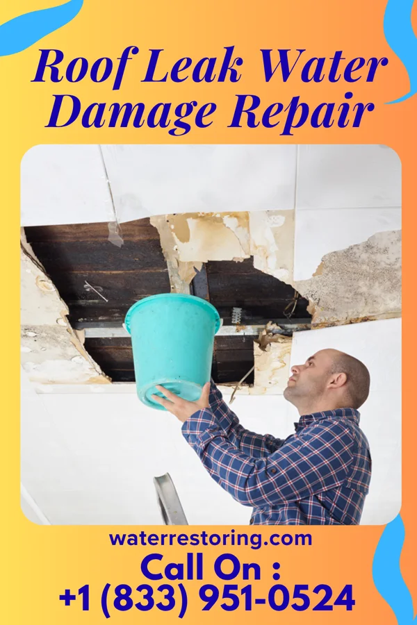 Roof Leak Water Damage Repair in Glandorf, OH