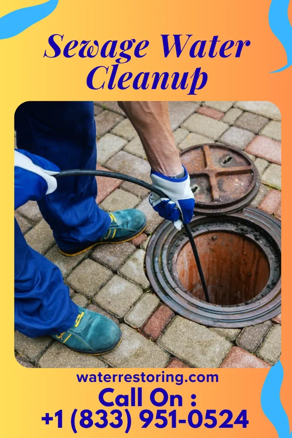 Sewage Water Cleanup in Glandorf, OH